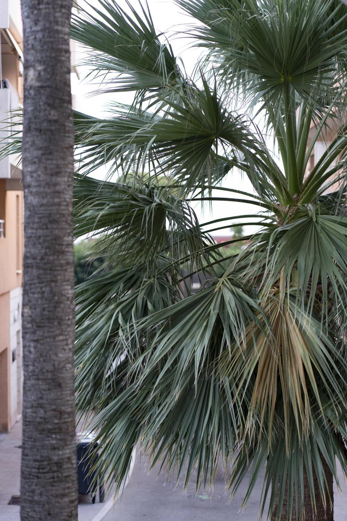 קאן La Petit Maisonette De Manu מראה חיצוני תמונה